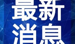 东莞爆料最新新闻事件视频,视频揭露惊人事件，真相令人震惊！