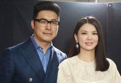 李湘和王岳伦最新爆料,揭秘豪门夫妻的甜蜜与挑战