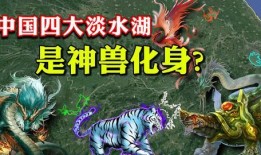 最新爆料四大神兽是谁啊,最新爆料四大神兽究竟是谁？