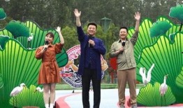 菜鸡主播爆料视频大全最新,揭秘网络直播幕后真相