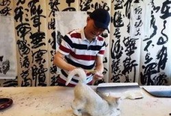 崔永元最新爆料视频,揭露娱乐圈惊人内幕