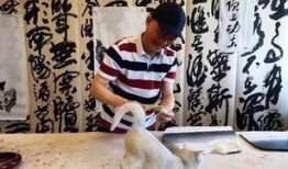 崔永元最新爆料视频,揭露娱乐圈惊人内幕