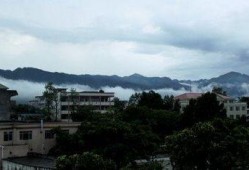 蒙山县爆料网最新,最新动态，揭秘蒙山新鲜事！