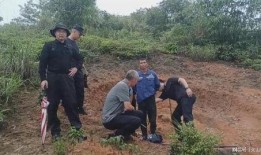 安远县事件爆料最新消息,揭秘背后真相与官方回应